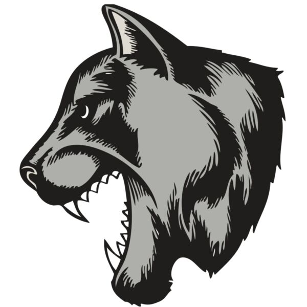 BAW COUG PANTH 06 RC Vignette