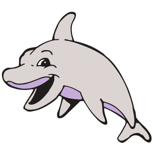 AR DOLPIN 15 RC Vignette