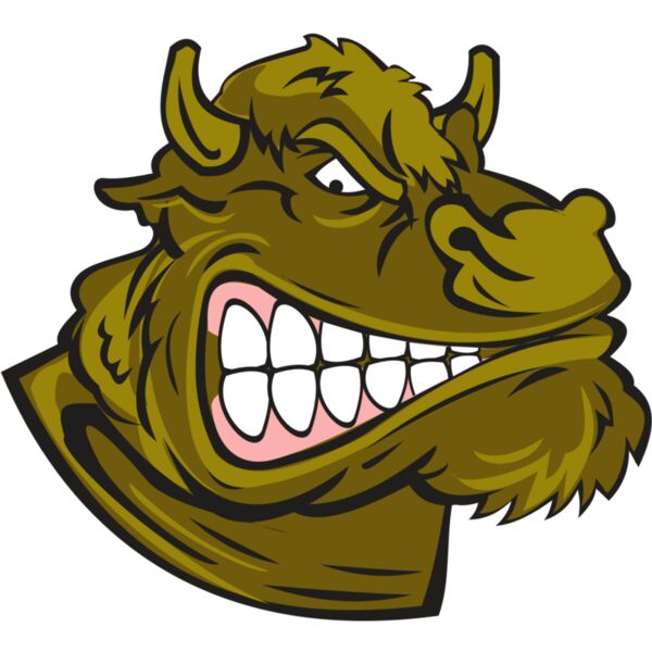 BUFFALO HD0504 RQC Vignette