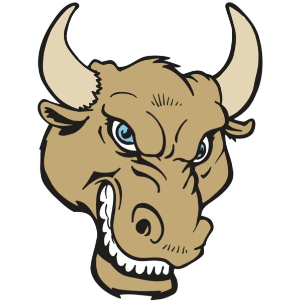 AR5 BULL 13 RQC Vignette