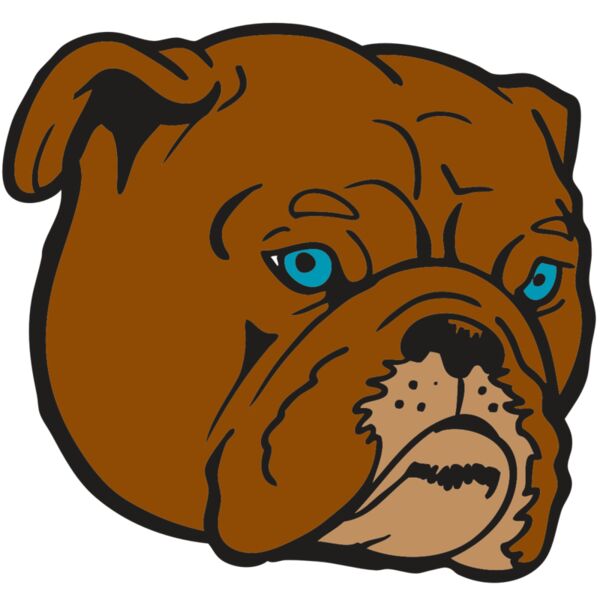 AR BDOG 86 RC Vignette