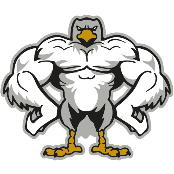 AR EAGLE 34 RC Vignette