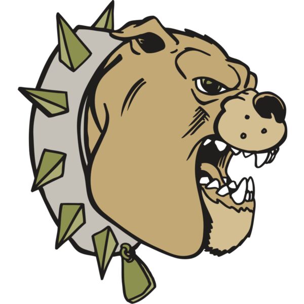 AR BDOG 39 RC Vignette