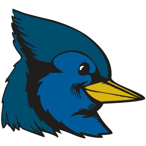 BAW BLUEJAY 07 RC Vignette