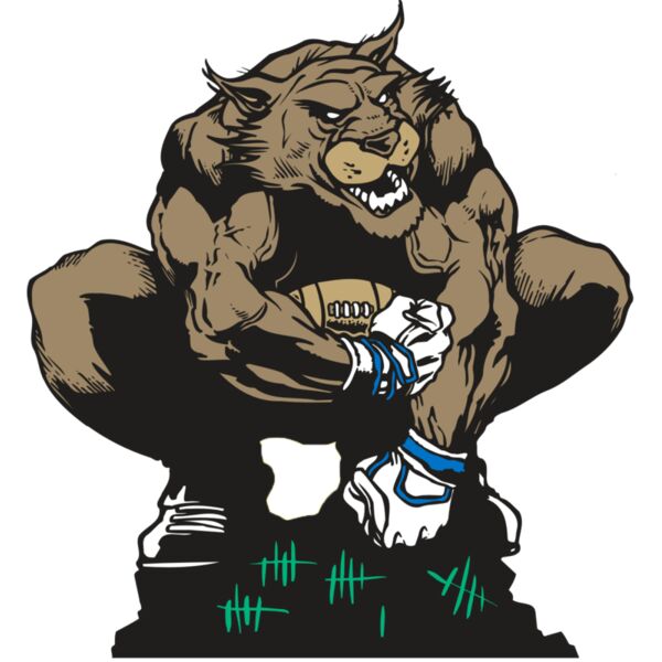 AR WILDCAT 34 RC Vignette