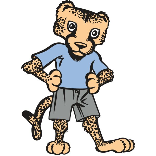 BAW CHEETAH 03 RC Vignette