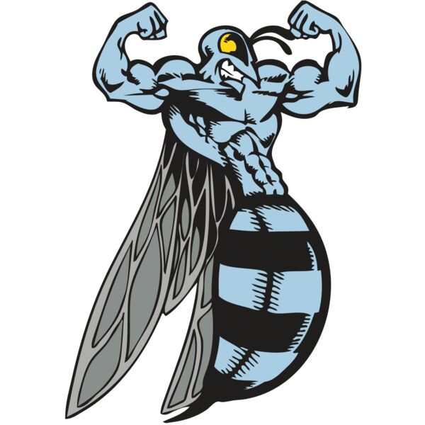 BAW BEE 08 RC Vignette