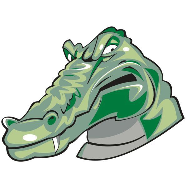 GATOR HD0504 RQC Vignette