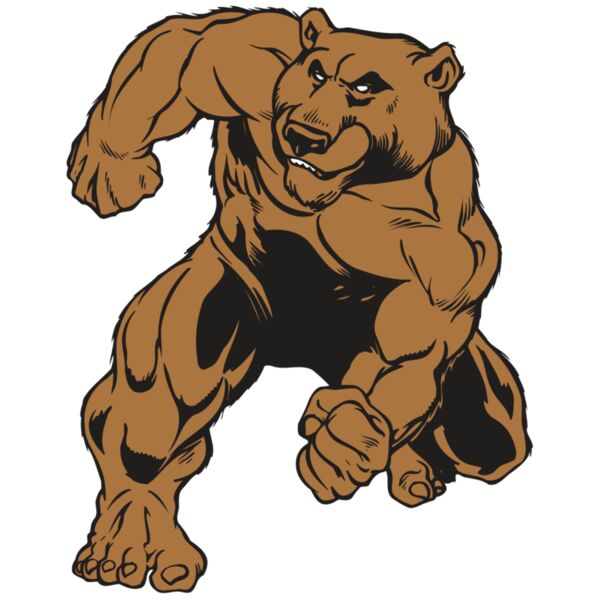 AR BEAR 35 RC Vignette