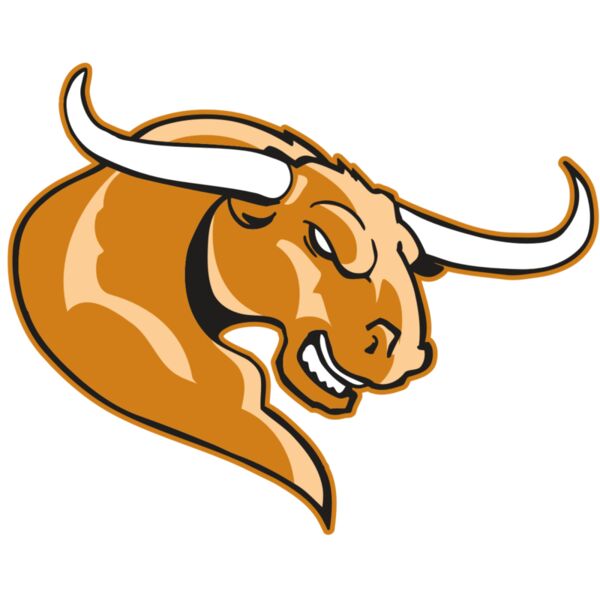 AR BULL 14 RC Vignette