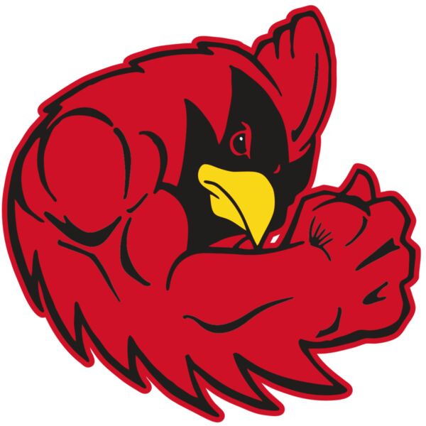 AR CARDINAL 29 RC Vignette