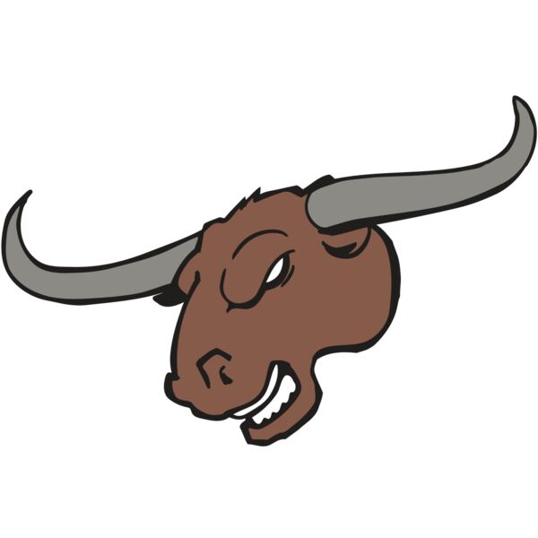 AR BULL 10 RC Vignette