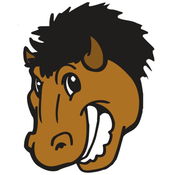 AR BUFFALO 17 RC Vignette