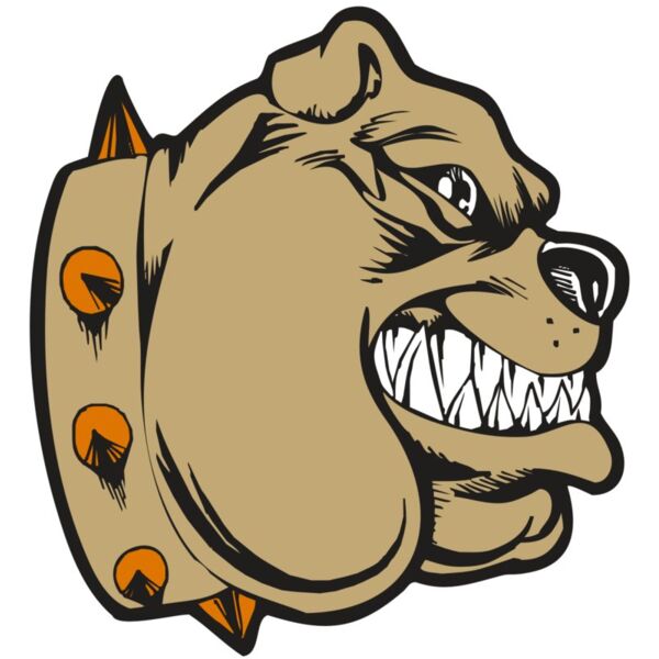 BAW BULLDOG 02 RC Vignette