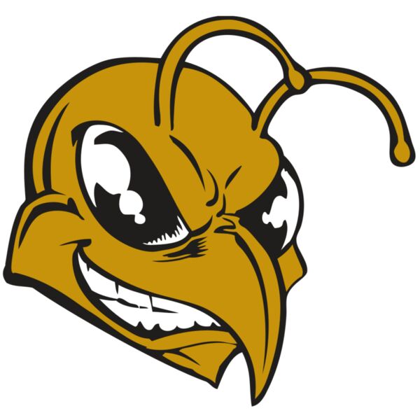 BAW BEE 18 RC Vignette