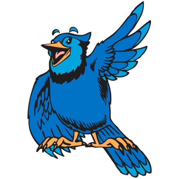 BAW BLUEJAY 06 RC Vignette