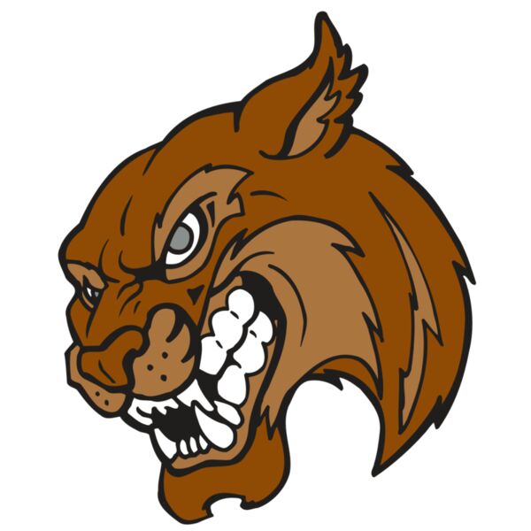 AR5 BOBCAT 07 RQC Vignette