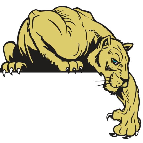 AR10 PANTHER 06 RQC Vignette