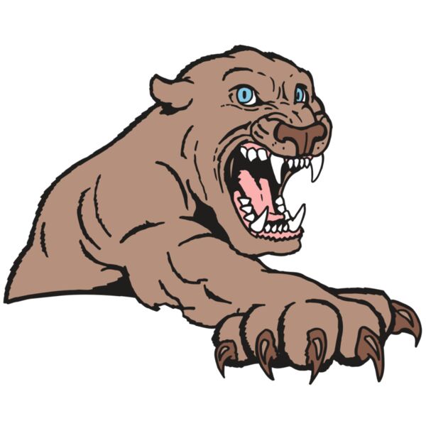 AR5 COUGAR 20 RQC Vignette