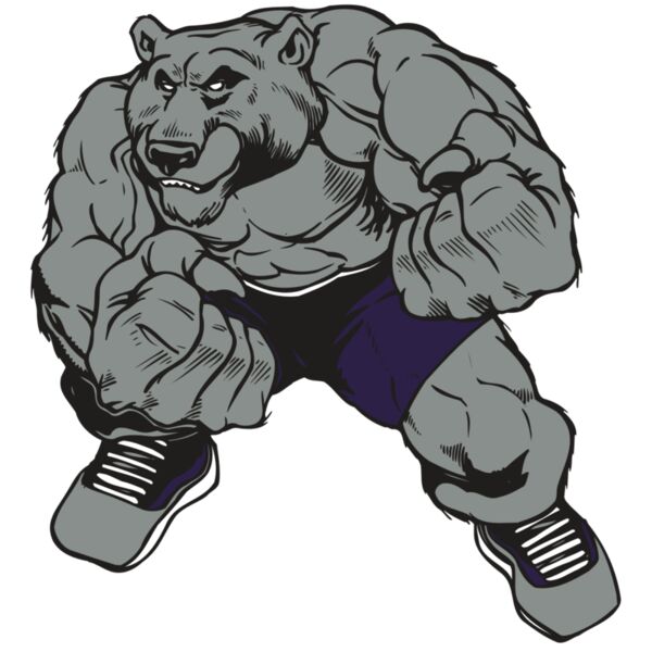 AR BEAR 28 RC Vignette