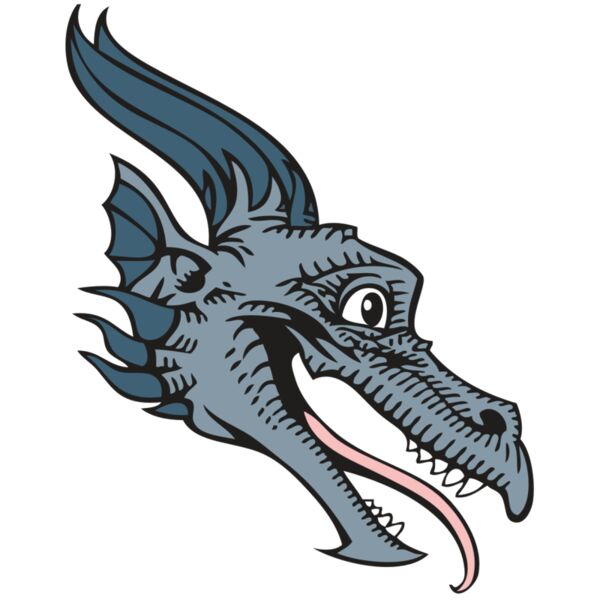 BAW DRAGON 15 RC Vignette