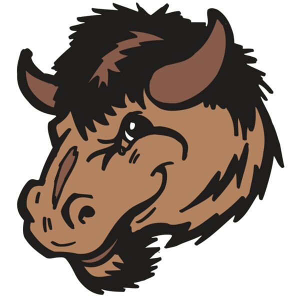 AR5 BUFFALO 03 RQC Vignette