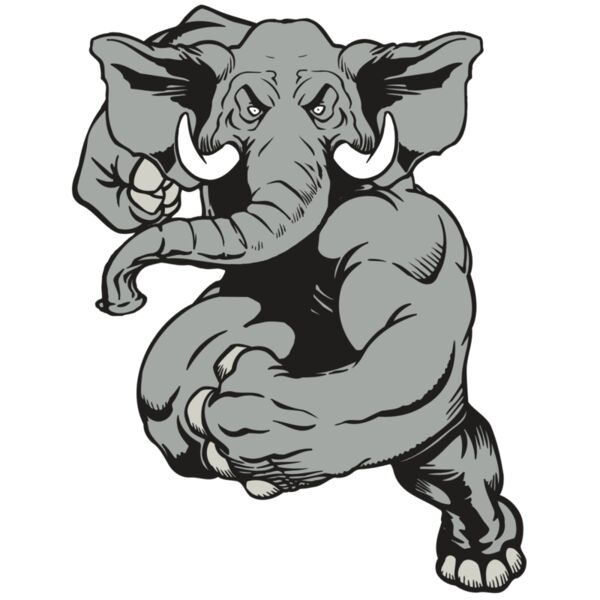 AR ELEPH 18 RC Vignette