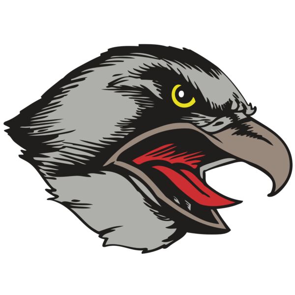 BAW HWK FLCN 13 RC Vignette