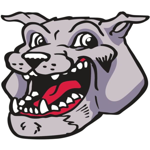 AR BDOG 24 RC Vignette