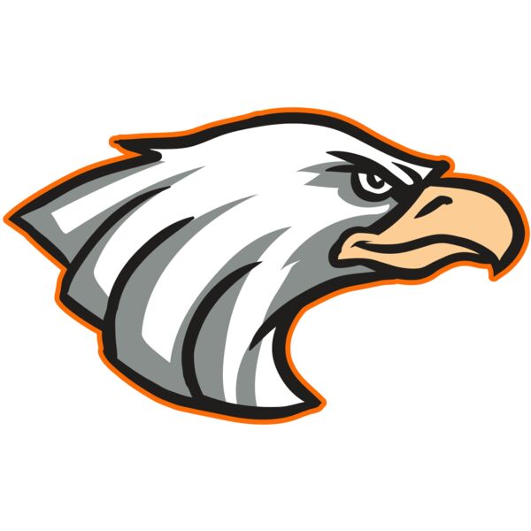 AR16 EAGLE 01 RQ Vignette