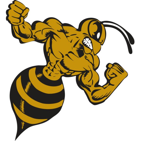 BAW BEE 01 RC Vignette