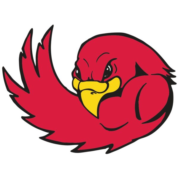 AR FALCON 18 RC Vignette