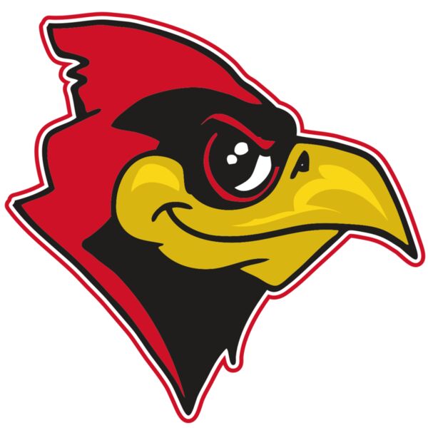 AR CARDINAL 38 RC Vignette