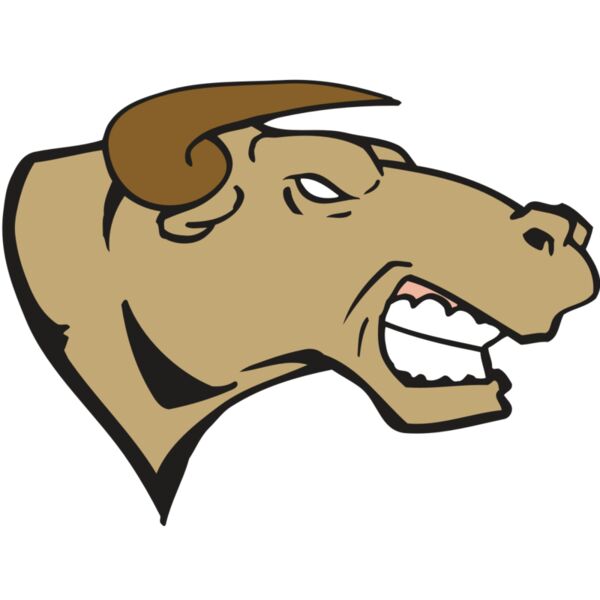 AR BULL 30 RC Vignette