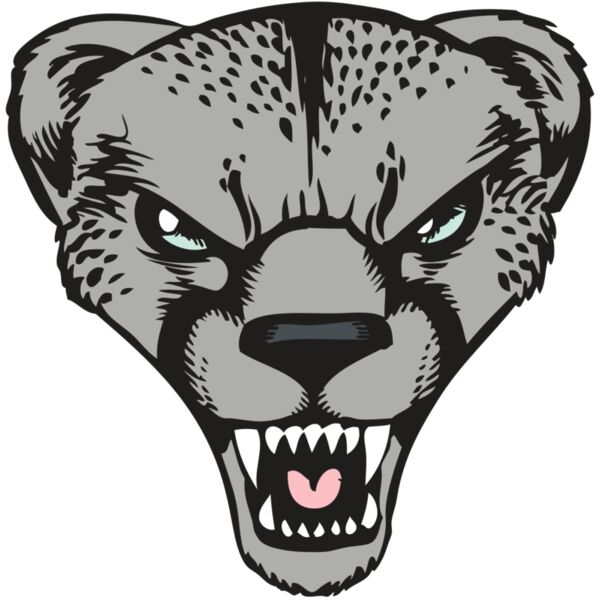 BAW CHEETAH 15 RC Vignette