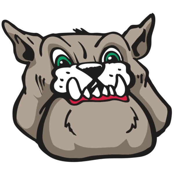 AR BDOG 27 RC Vignette