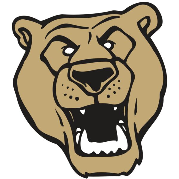 AR BEAR 13 RC Vignette