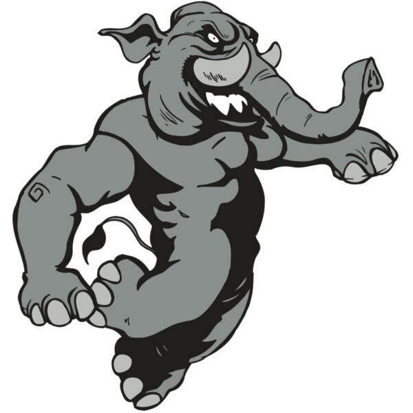 AR5 Elephant 09 RQC Vignette