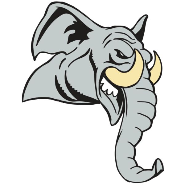 AR5 Elephant 12 RQC Vignette