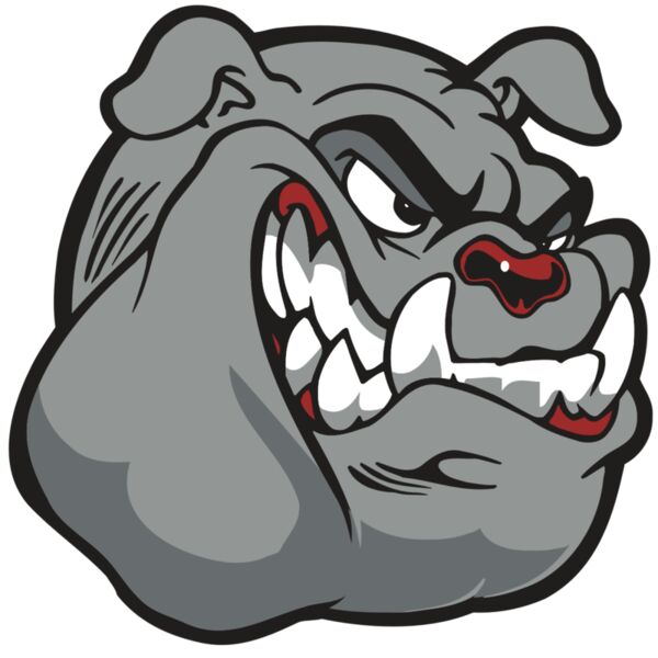 AR BDOG 13 RC Vignette