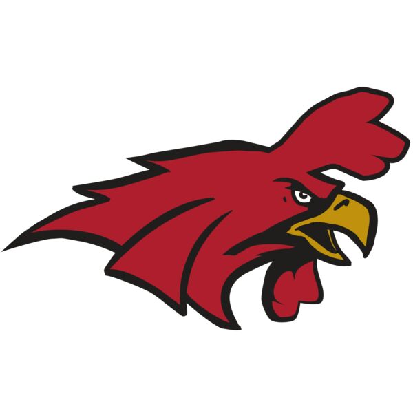 AR15 GAMECOCK 01 RQC Vignette