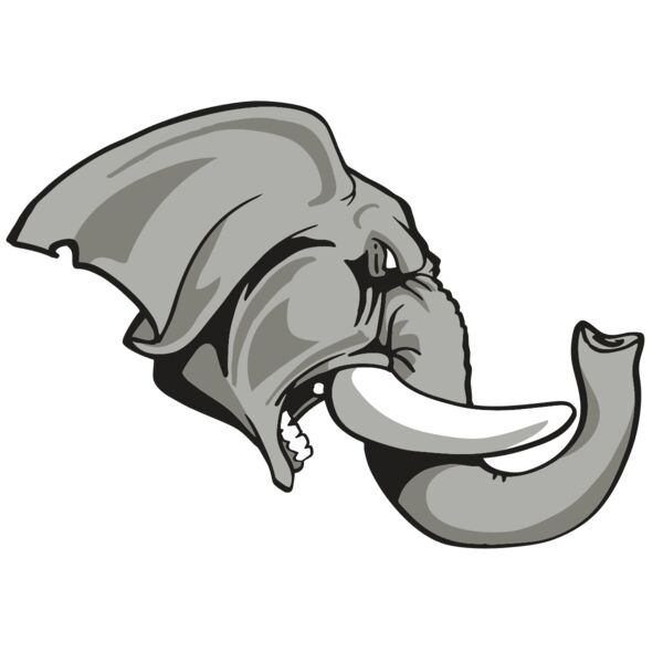 AR ELEPH 20 RC Vignette