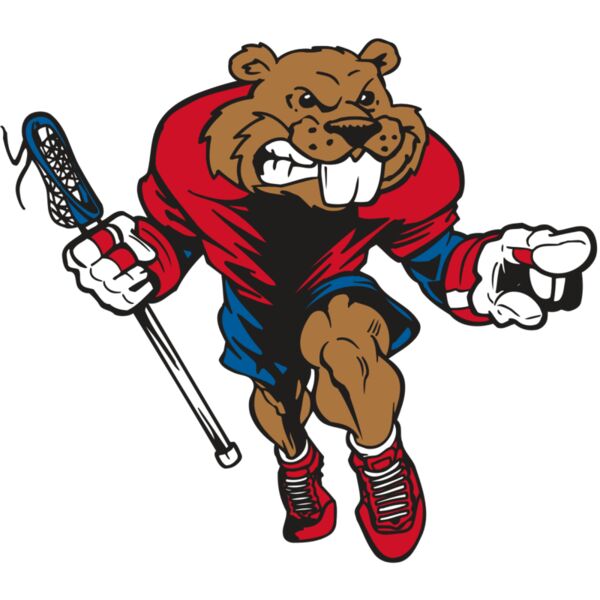 AR8 BEAVER 03 RQC Vignette