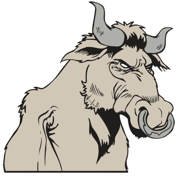 AR5 BULL 08 RQC Vignette