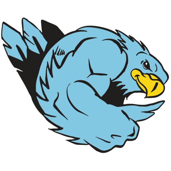 AR HAWK 24 RC Vignette