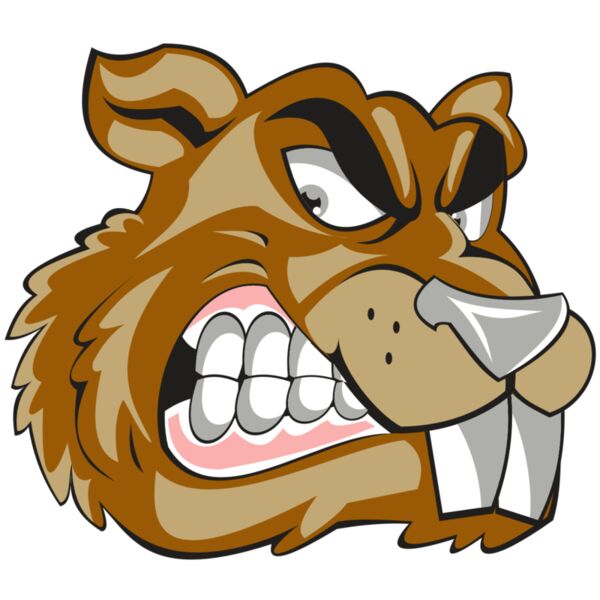 BEAVER HD0503 RQC Vignette