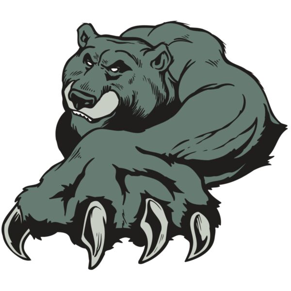 AR BEAR 26 RC Vignette