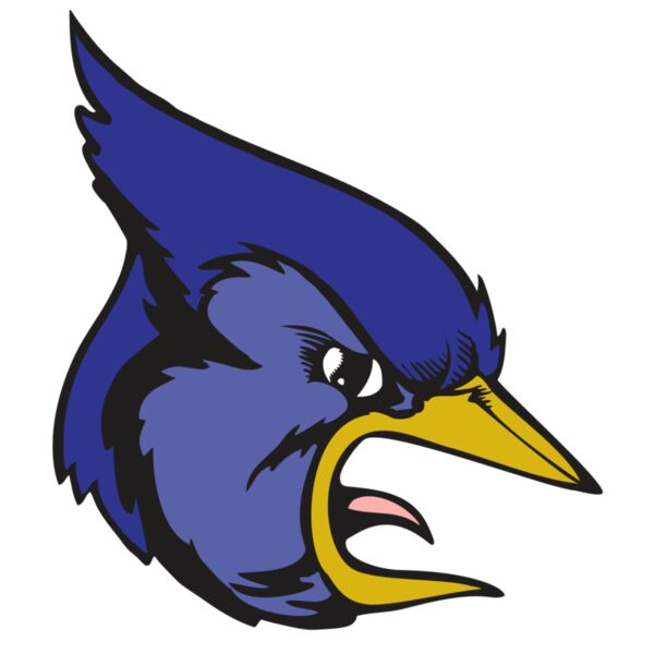 BAW BLUEJAY 04 RC Vignette