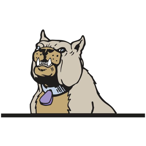 AR BDOG 57 RC Vignette