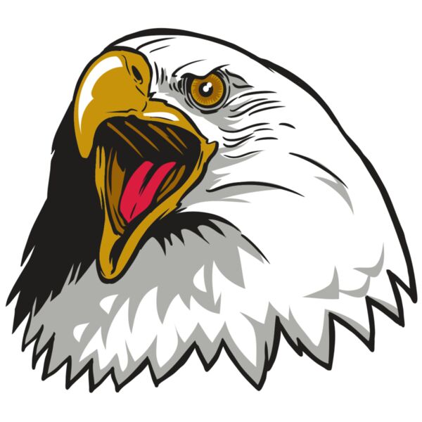 AR22 EAGLE 01 RQC Vignette